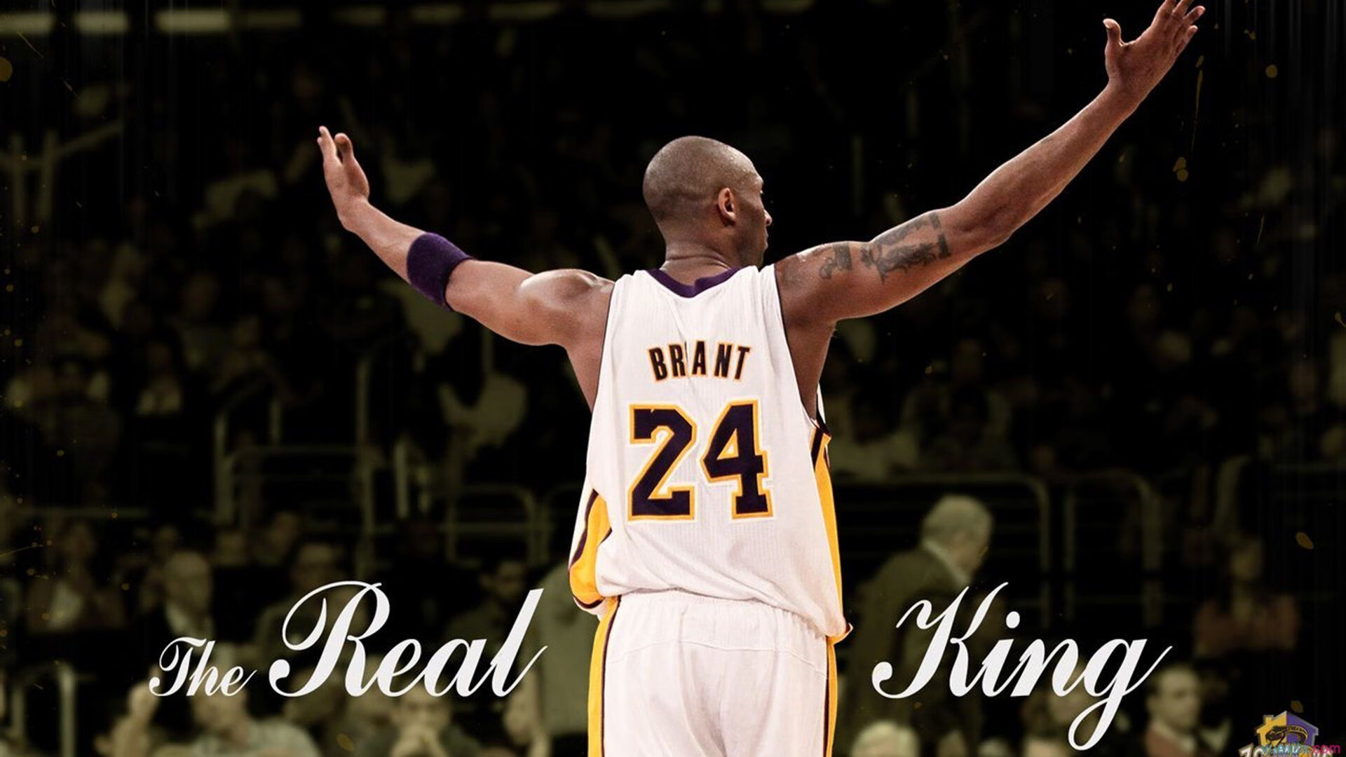 世界杯赛场技术革新的未来趋势，世界杯创新