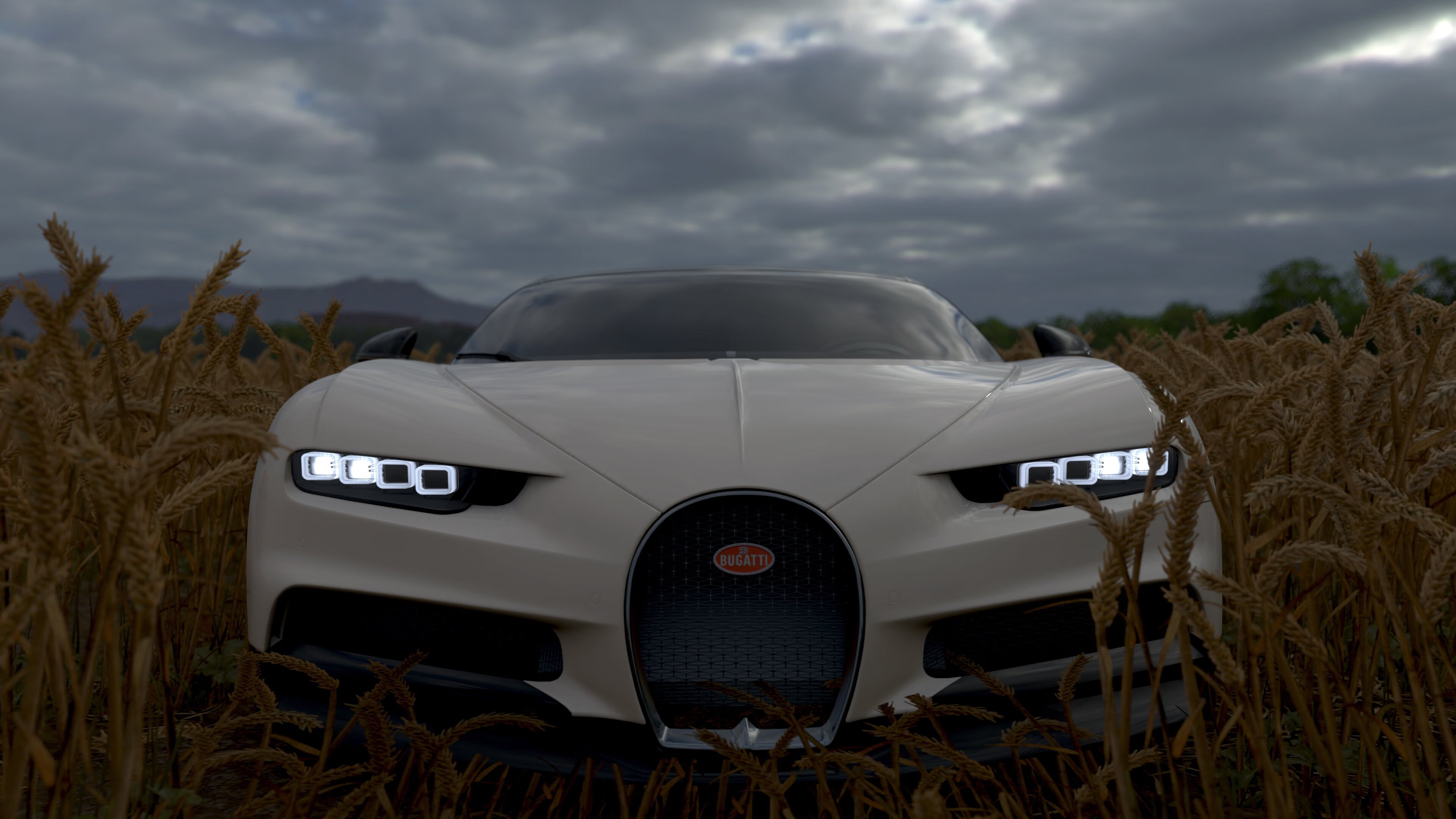 _绿野仙踪：森林中的野外网球挑战_，2021绿野仙踪棒球服