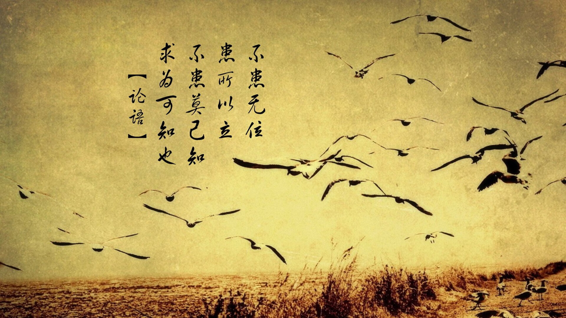 开云中国官网-《中国电竞产业政策发布,推动行业高质量发展》,中国电竞产业发展现状