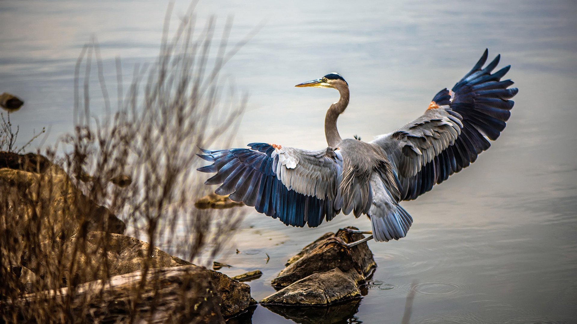 你知道吗？足球中的那些冷知识让你大开眼界，足球 常识
